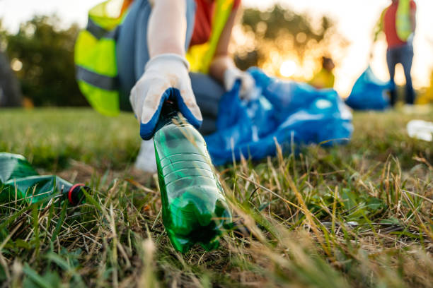 Best Yard Cleanup Services  in Monroeville, IN